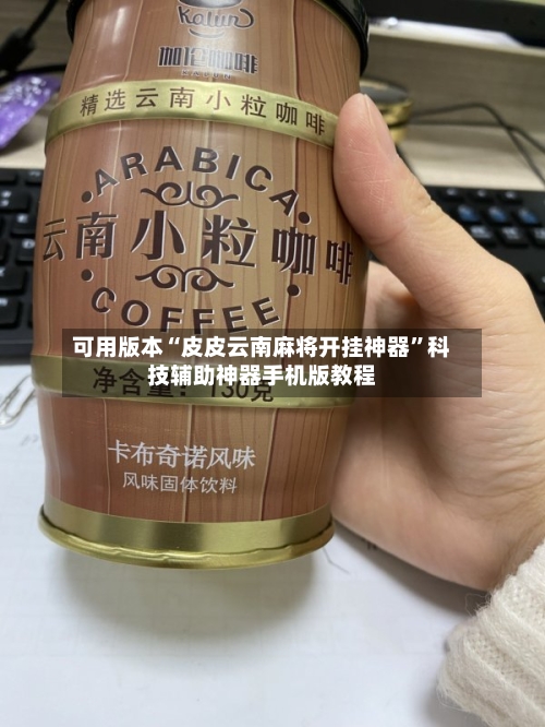 可用版本“皮皮云南麻将开挂神器	”科技辅助神器手机版教程-第2张图片