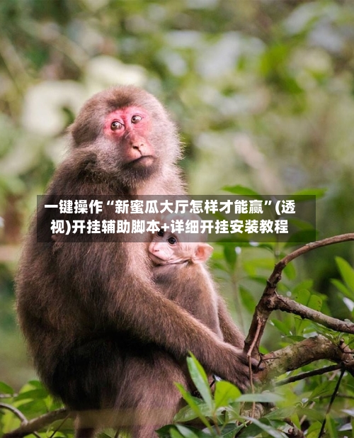 一键操作“新蜜瓜大厅怎样才能赢”(透视)开挂辅助脚本+详细开挂安装教程-第1张图片