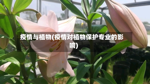 疫情与植物(疫情对植物保护专业的影响)-第1张图片