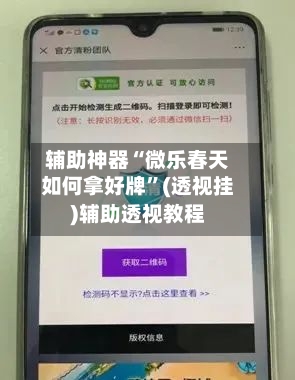 辅助神器“微乐春天如何拿好牌”(透视挂)辅助透视教程-第3张图片