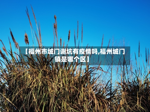 【福州市城门谢坑有疫情吗,福州城门镇是哪个区】-第3张图片