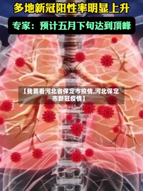 【我要看河北省保定市疫情,河北保定市新冠疫情】-第2张图片