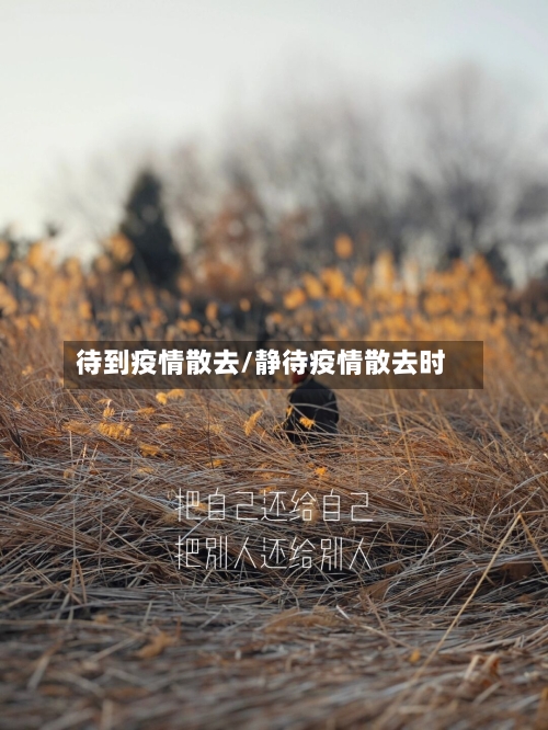 待到疫情散去/静待疫情散去时-第1张图片