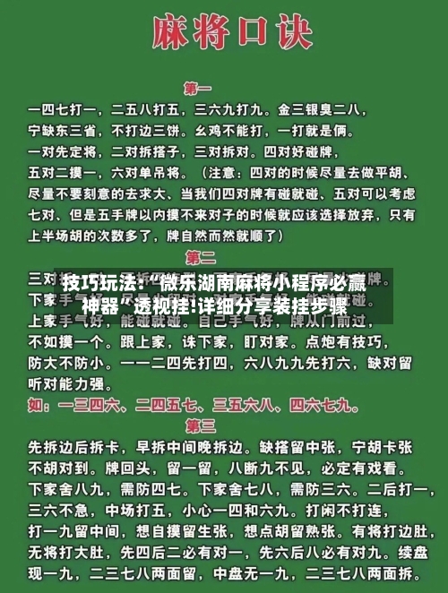 技巧玩法:“微乐湖南麻将小程序必赢神器”透视挂!详细分享装挂步骤-第2张图片