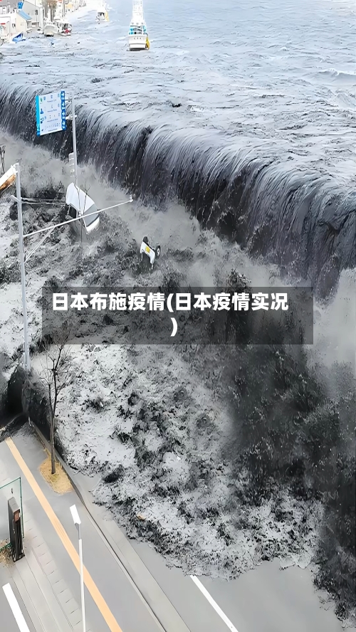 日本布施疫情(日本疫情实况)-第3张图片