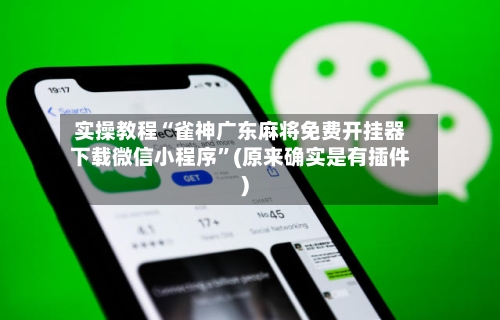 实操教程“雀神广东麻将免费开挂器下载微信小程序	”(原来确实是有插件)-第2张图片