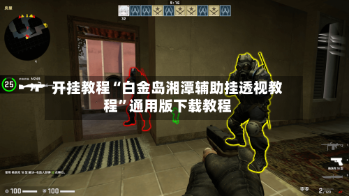 开挂教程“白金岛湘潭辅助挂透视教程”通用版下载教程-第1张图片