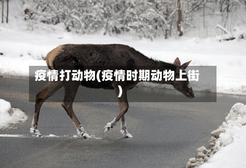 疫情打动物(疫情时期动物上街)-第1张图片