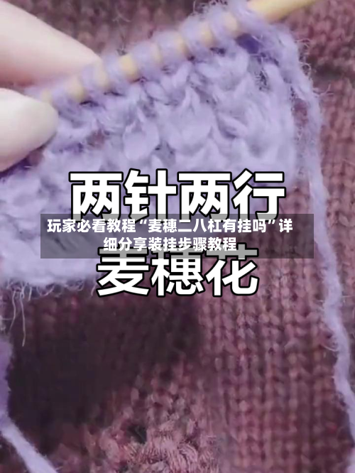 玩家必看教程“麦穗二八杠有挂吗”详细分享装挂步骤教程-第3张图片