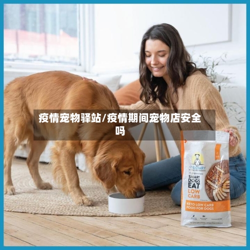 疫情宠物驿站/疫情期间宠物店安全吗-第1张图片
