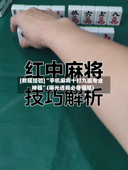 [教程经验]“手机麻将十打九赢专业神器	”(曝光透视必备猫腻)-第2张图片