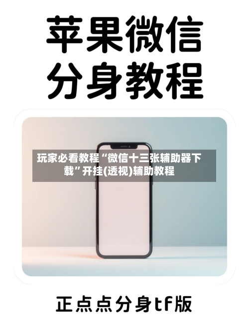 玩家必看教程“微信十三张辅助器下载”开挂(透视)辅助教程-第3张图片