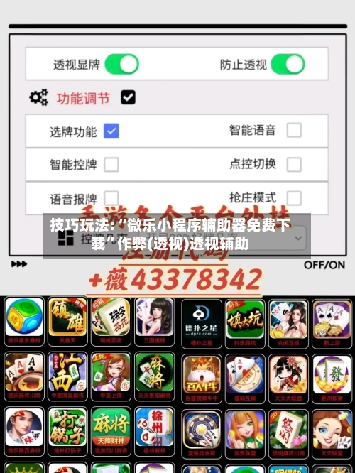 技巧玩法:“微乐小程序辅助器免费下载”作弊(透视)透视辅助-第3张图片