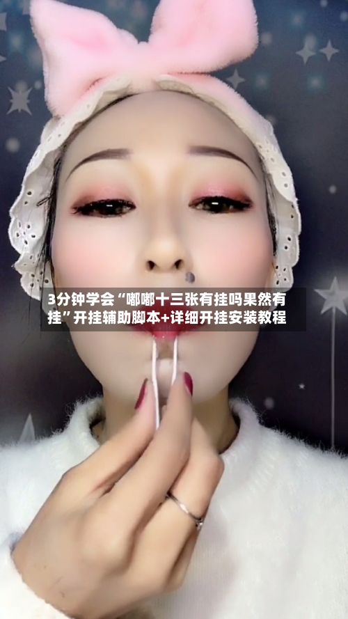 3分钟学会“嘟嘟十三张有挂吗果然有挂	”开挂辅助脚本+详细开挂安装教程-第3张图片