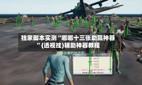 独家脚本实测“嘟嘟十三张助赢神器”(透视挂)辅助神器教程-第1张图片