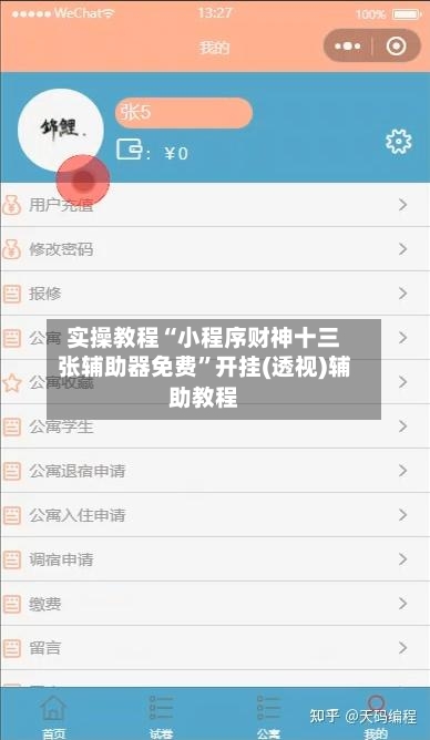 实操教程“小程序财神十三张辅助器免费”开挂(透视)辅助教程-第1张图片