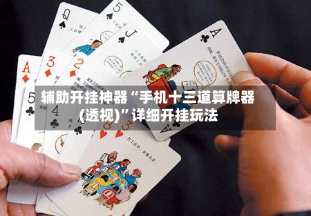 辅助开挂神器“手机十三道算牌器(透视)”详细开挂玩法-第3张图片