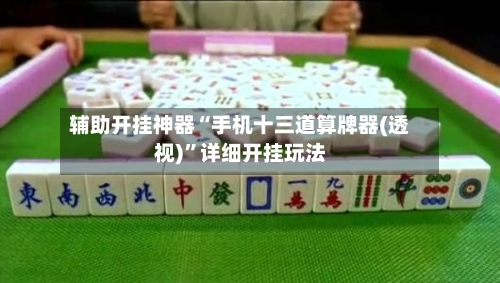 辅助开挂神器“手机十三道算牌器(透视)”详细开挂玩法-第1张图片