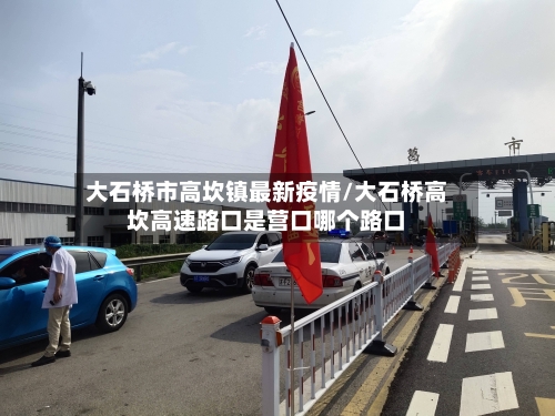 大石桥市高坎镇最新疫情/大石桥高坎高速路口是营口哪个路口-第3张图片
