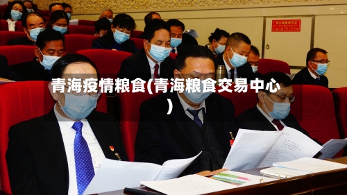 青海疫情粮食(青海粮食交易中心)-第3张图片