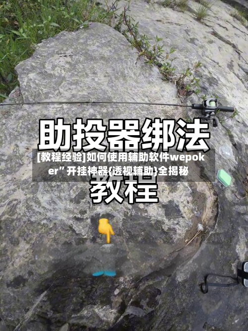 [教程经验]如何使用辅助软件wepoker	”开挂神器{透视辅助}全揭秘-第3张图片