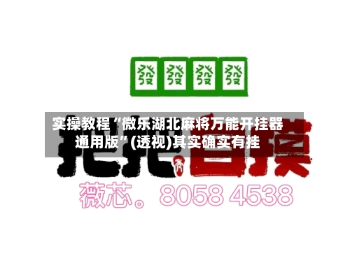 实操教程“微乐湖北麻将万能开挂器通用版	”(透视)其实确实有挂-第1张图片