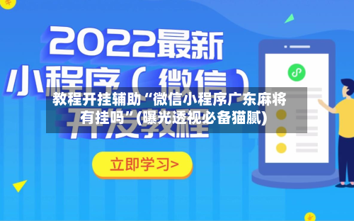 教程开挂辅助“微信小程序广东麻将有挂吗”(曝光透视必备猫腻)-第2张图片