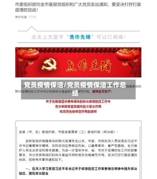 党员疫情保洁/党员疫情保洁工作总结-第1张图片