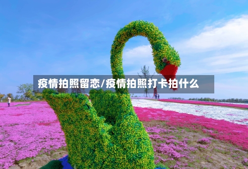 疫情拍照留恋/疫情拍照打卡拍什么-第1张图片