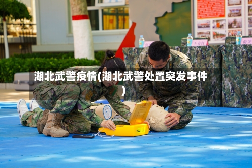 湖北武警疫情(湖北武警处置突发事件)-第2张图片