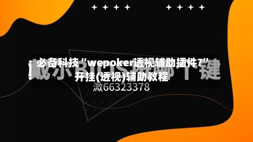 必备科技“wepoker透视辅助插件?	”开挂(透视)辅助教程-第2张图片