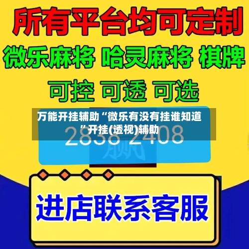 万能开挂辅助“微乐有没有挂谁知道”开挂(透视)辅助-第2张图片