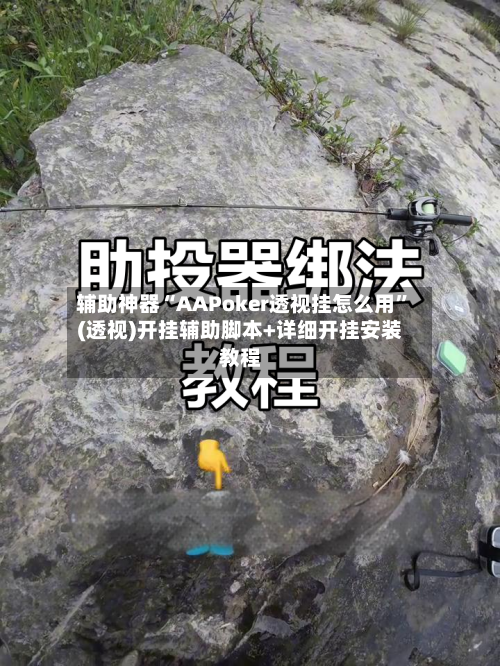 辅助神器“AAPoker透视挂怎么用”(透视)开挂辅助脚本+详细开挂安装教程-第3张图片