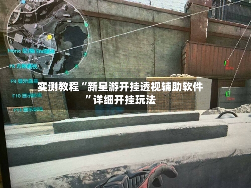 实测教程“新星游开挂透视辅助软件”详细开挂玩法-第1张图片