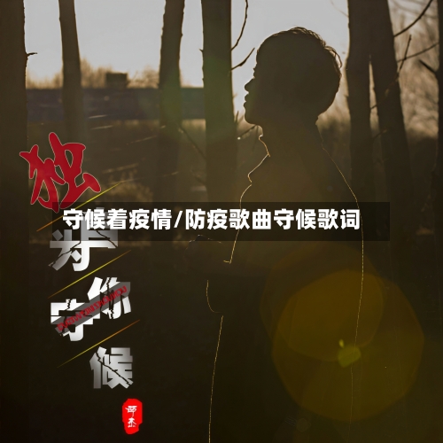 守候着疫情/防疫歌曲守候歌词-第2张图片