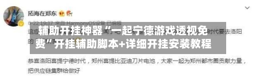 辅助开挂神器“一起宁德游戏透视免费”开挂辅助脚本+详细开挂安装教程-第2张图片