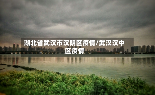 湖北省武汉市汉阴区疫情/武汉汉中区疫情-第2张图片