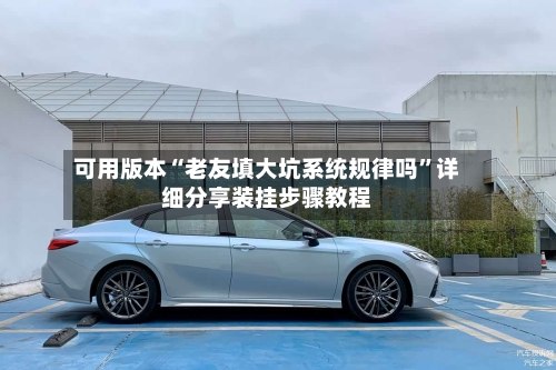 可用版本“老友填大坑系统规律吗”详细分享装挂步骤教程-第3张图片