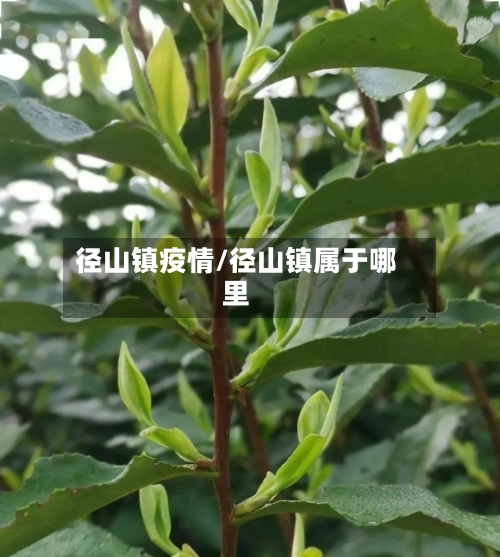 径山镇疫情/径山镇属于哪里-第3张图片