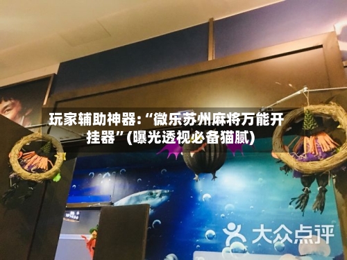 玩家辅助神器:“微乐苏州麻将万能开挂器”(曝光透视必备猫腻)-第1张图片