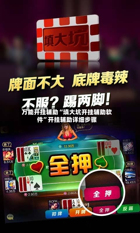 万能开挂辅助“填大坑开挂辅助软件”开挂辅助详细步骤-第1张图片