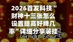 2026首发科技“财神十三张怎么设置提高好牌几率”详细分享装挂步骤教程-第2张图片