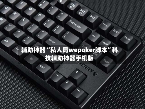 辅助神器“私人局wepoker脚本	”科技辅助神器手机版-第2张图片