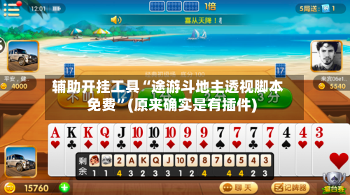 辅助开挂工具“途游斗地主透视脚本免费”(原来确实是有插件)-第3张图片