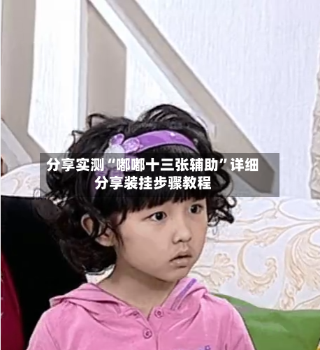 分享实测“嘟嘟十三张辅助”详细分享装挂步骤教程-第2张图片