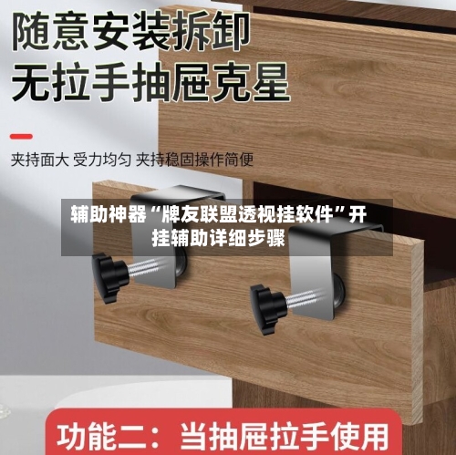 辅助神器“牌友联盟透视挂软件”开挂辅助详细步骤-第2张图片